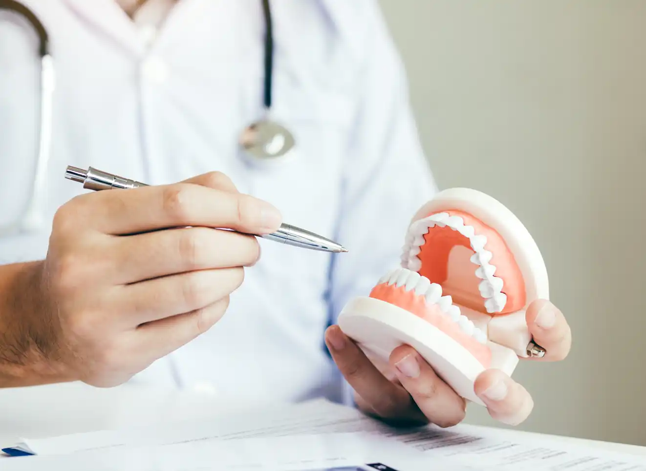 Dentysta w białym fartuchu pokazuje na modelu szczęki strukturę zgryzu, trzymając długopis.
